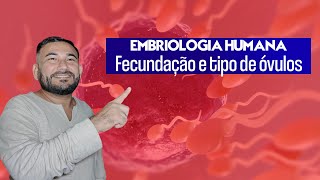 Embriologia humana  fecundação e tipo de óvulos [upl. by Shedd934]