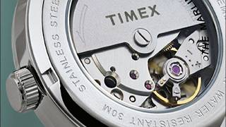 Top Timex Watches of 2024 The Watch of My Dreams Has Arrived [upl. by Linell]