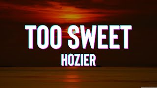 Hozier – Too Sweet Lyrics [upl. by Anett]