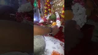 jai Dasha maa meenavada Pooja karte hue Delhi Shot video Payal 2 [upl. by Ahsiket]