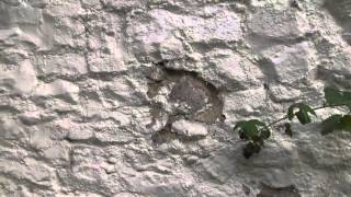 Plastic masonry paint  how it destroys walls [upl. by Frank444]