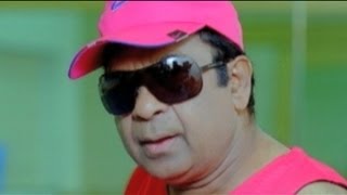 Dharma Chakram Movie Comedy Scenes  Venkatesh Brahmanandam AVS  Funtastic Comedy [upl. by Dana]