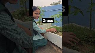 Vocabulary  English Conversation  Spoken English in Gov school Jharkhand education viralvideo [upl. by Tound]