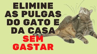 COMO ACABAR COM AS PULGAS DE MANEIRA ECONÔMICA SEM PREJUDICAR O GATO Vida de Gato [upl. by Honniball]