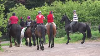 Highmoor Blood Hounds Gallop on Friesian Horse Apollo [upl. by Eerbua]