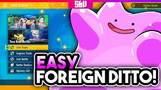 How to Get a Foreign Ditto In Pokemon Scarlet and Violet [upl. by Anivram]