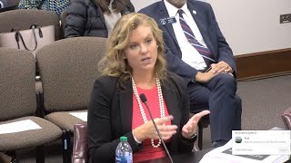 LIVE Georgia Attorney Testifies to State Senate Committee in Investigation of Fulton DA Willis [upl. by Evad]