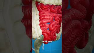 What Is A Hookworm 😨 🪱 [upl. by Aerdna]