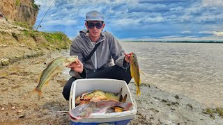 PESCÓN EN LOS MEJORES LUGARES DE RAMALLO UNO TRAS OTRO 🎣🔥🔥 [upl. by Aret]