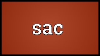 Sac Meaning [upl. by Nnaeoj107]