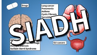 SIADH EXPLAINED Hyponatraemia [upl. by Calondra]