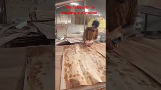 The labourer is making a plywood Very nice [upl. by Reeta]