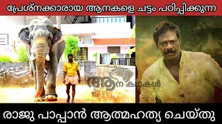 പാപ്പാൻ രാജുവേട്ടൻ ജീവിതം അവസാനിപ്പിച്ചു  kottayi raju death news  Bullet mozha  sree 4 elephant [upl. by Arehahs]