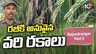 రబీకి అనువైన వరి రకాలు  Rice Cultivation In Rabi Season  Matti Manishi  10TV News [upl. by Morentz201]