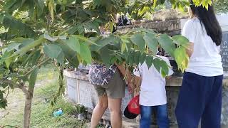 Visiting our loved ones BagacayCemeteryJosephine Florence Vlog [upl. by Hammerskjold]