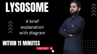 Lysosomes in Urdu Hindi and English Lysosomal vesicles What are Lysosomes [upl. by Esenaj]