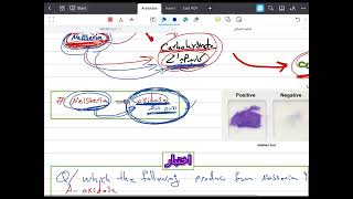 الاحياء المجهريةالتحليلات مرحله ٢المحاضرة الاولى neisseria المقدمة المهمة فهم حفظ استمتاع 🌹🌸 [upl. by Aleiram]