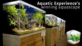 Beautiful River Aquascape — Winning the Aquatic Experience [upl. by Michaeu]