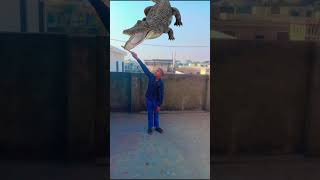 shorts youtubeshorts islamicvideo [upl. by Ahsertal376]