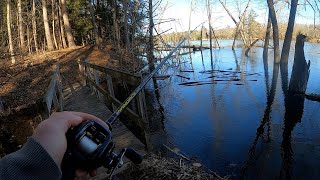 Cold amp Flooded Bass Fishing w Swim Jigs Queen  Megabass [upl. by Vookles392]