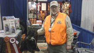 HuntEmUpcom  The Boykin Spaniel from Pheasant Fest [upl. by Bast]