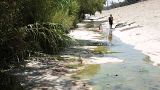 What Its Like To Live In The LA River [upl. by Josefa]