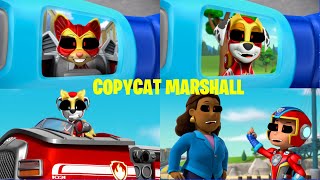 PAW Patrol Copycat Marshall  Monster How Should I Feel  Mighty Pups Animation [upl. by Kussell]