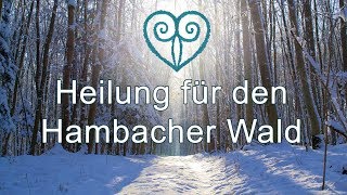 Heilung für den Hambacher Wald [upl. by Eikcim]