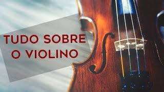 TUDO sobre o VIOLINO [upl. by Tterrej]