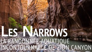 LES NARROWS  La randonnée aquatique de Zion Canyon [upl. by Aniuqal]