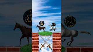 bakra laray bado badi 🤗😘 islamicvideos shortvideo [upl. by Olnay189]