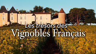 Les trésors des vignobles français  Documentaire [upl. by Nwahsek503]