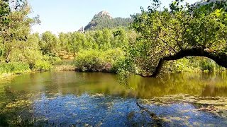 Trek e Itinerari in Sicilia RISERVA NATURALE DEI MONTI CAMPANITO E SAMBUGHETTI Nicosia Sicily [upl. by Worra]