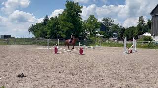 WalkTrotCanter Class A Hunter Equitation Overfences [upl. by Atinat578]