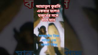 আয়াতুল কুরসি পাঠ একবার হলেও শুনে যানshortswazquran mizanurrahmanazhari [upl. by Israeli]