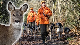 Chasse du Chevreuil au Chien Courant  ChasserCuisinerManger [upl. by Orville909]