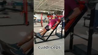 Rutina para cuádriceps 💪🏻👉🏻🇨🇴 shortvideo ejerciciosfisicos motivation ejercicio fisicoculturist [upl. by Montanez]