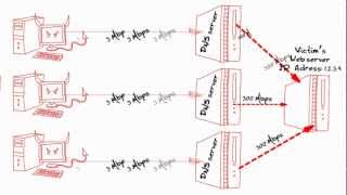 DNS Amplification Attack [upl. by Harutek244]