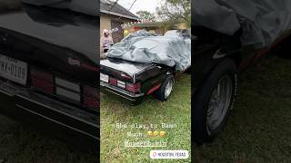 😂wifey Gets happy When I pull out my oldSchool 🏎️ tiktok car cartok funny viralvideo malibu [upl. by Devy148]