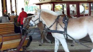 Pony Karrusellen på Prater i Wien [upl. by Immas]