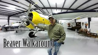 De Havilland Beaver Walkaround [upl. by Linoel238]