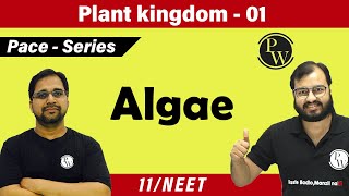 Plant Kingdom 01  Algae  Class 11  CBSE  NCERT  NEET  PACE SERIES [upl. by Onifur981]