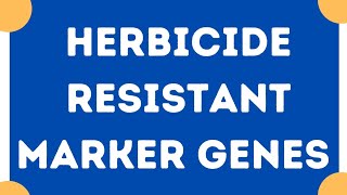 Herbicide resistant marker genes  Plant biotechnology [upl. by Eeneg]