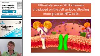 Understanding metformin the only biguanide [upl. by Virgina636]