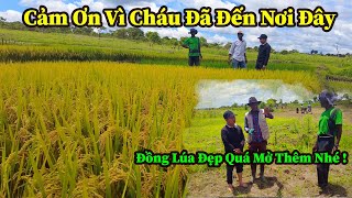 Quang Dũng  Các Anh Hãy Mở Rộng Diện Tích Trồng Lúa Đi Sang Tuần Tôi Cùng Xếp Lớn Đến Thăm [upl. by Desimone]