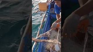 fishing buhaymandaragat palawan shorts ewhitevlog [upl. by Prestige976]