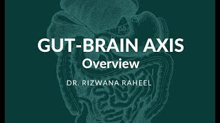 The gutbrain axis interactions between enteric microbiota  Phyla  Lecture  1 [upl. by Arral]