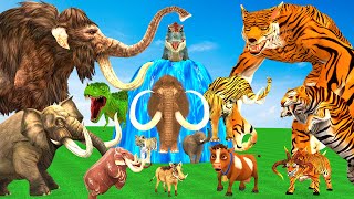 10 Mammoth Elephant Cow Bull vs 5 Giant Tiger Wolf vs Dinosaur Fight Tiger Cub Save by Woolly Mammot [upl. by Natale]