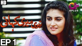 Teri Meri Kahani  EP 1  Aplus  Agha Ali Hiba Qadir Fahad Rehmani  C8A1 [upl. by Eckart]