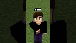 Is Your Crosshair Lying to You minecraft minecraftfacts facts interesting [upl. by Kieran611]